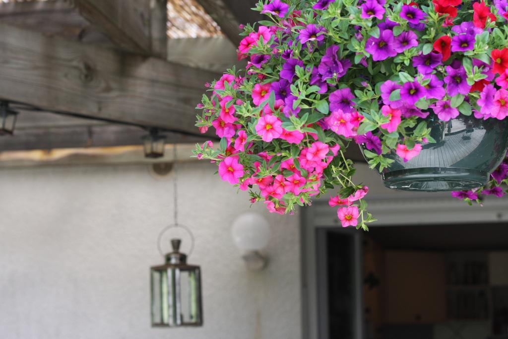 Calme Et Nature, Ba Hotel Gujan-Mestras Szoba fotó